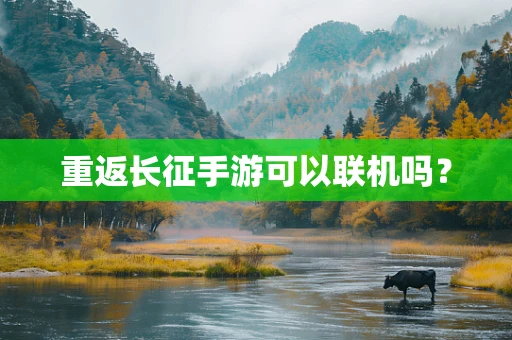 重返长征手游可以联机吗？