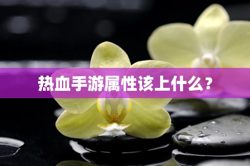 热血手游属性该上什么？