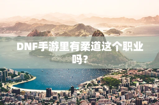DNF手游里有柔道这个职业吗？