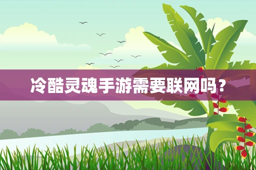 冷酷灵魂手游需要联网吗？