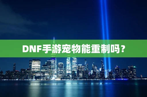 DNF手游宠物能重制吗？
