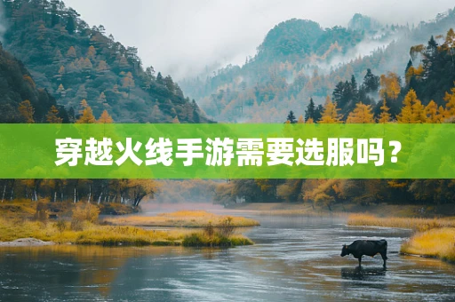 穿越火线手游需要选服吗？