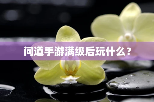 问道手游满级后玩什么？