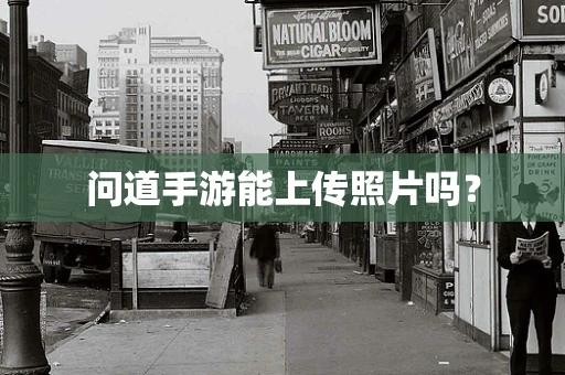 问道手游能上传照片吗？