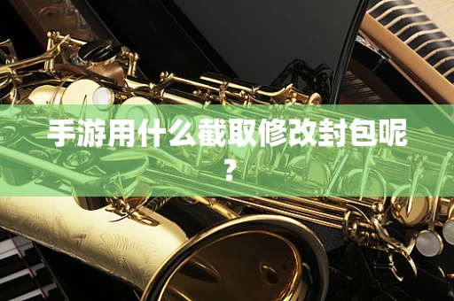 手游用什么截取修改封包呢？