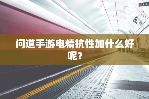 问道手游电精抗性加什么好呢？