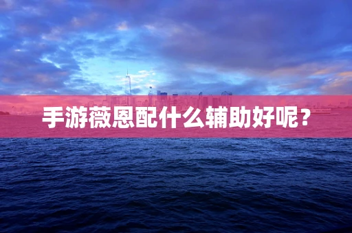 手游薇恩配什么辅助好呢？