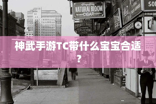 神武手游TC带什么宝宝合适？