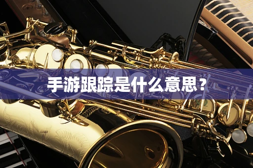 手游跟踪是什么意思？