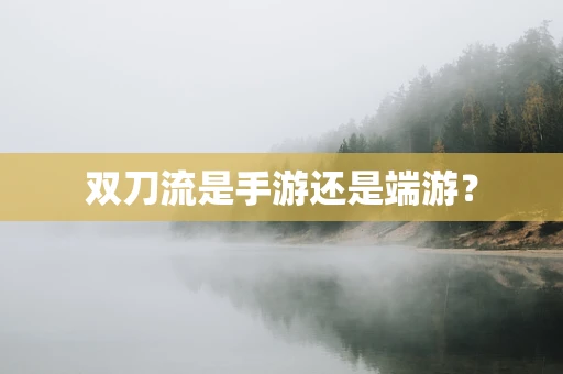 双刀流是手游还是端游？