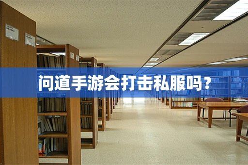 问道手游会打击私服吗？