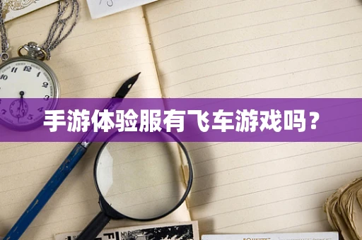手游体验服有飞车游戏吗？