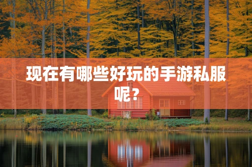 现在有哪些好玩的手游私服呢？