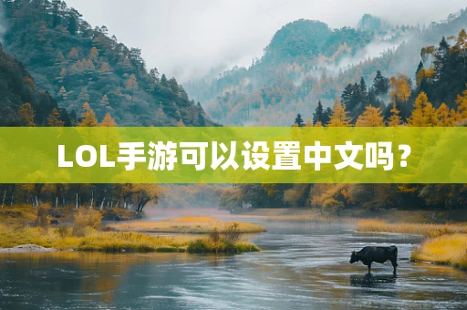 LOL手游可以设置中文吗？