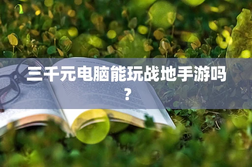 三千元电脑能玩战地手游吗？