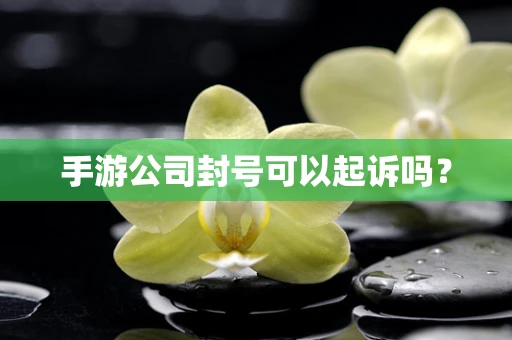 手游公司封号可以起诉吗？