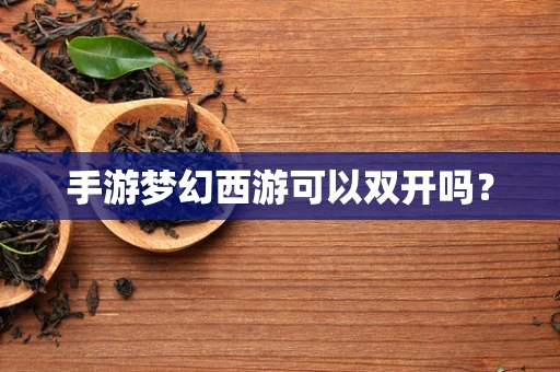 手游梦幻西游可以双开吗？