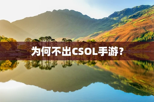 为何不出CSOL手游？