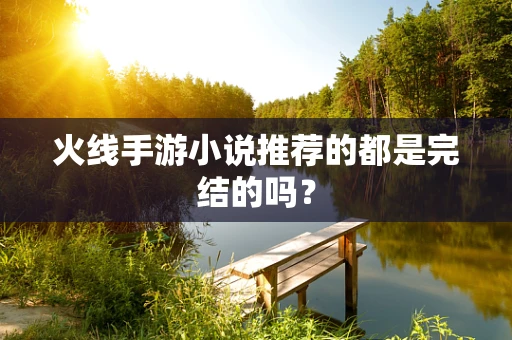 火线手游小说推荐的都是完结的吗？
