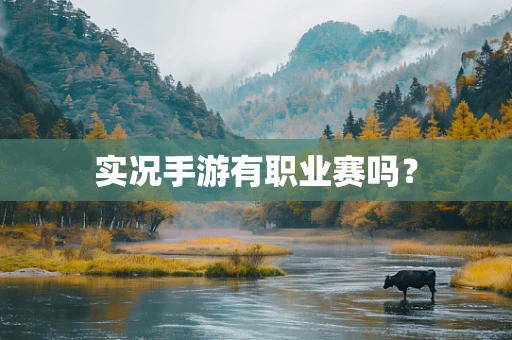 实况手游有职业赛吗？