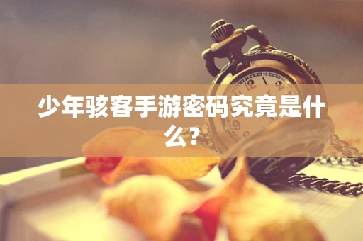 少年骇客手游密码究竟是什么？