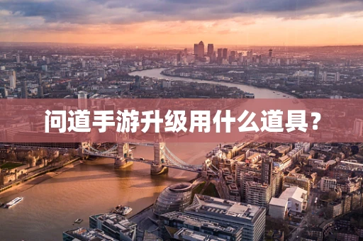 问道手游升级用什么道具？