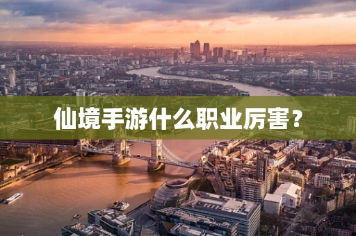 仙境手游什么职业厉害？