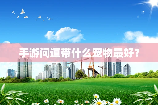 手游问道带什么宠物最好？