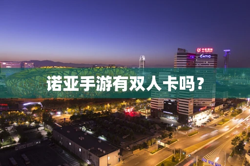 诺亚手游有双人卡吗？