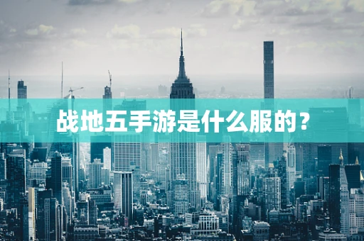 战地五手游是什么服的？