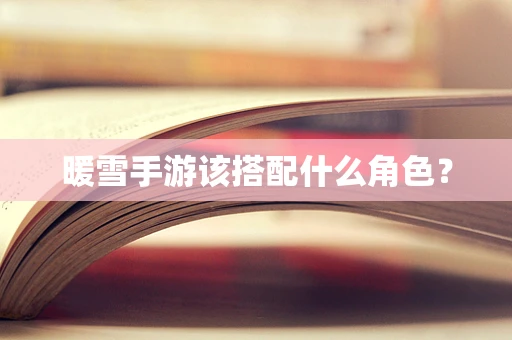 暖雪手游该搭配什么角色？