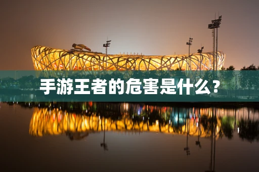 手游王者的危害是什么？