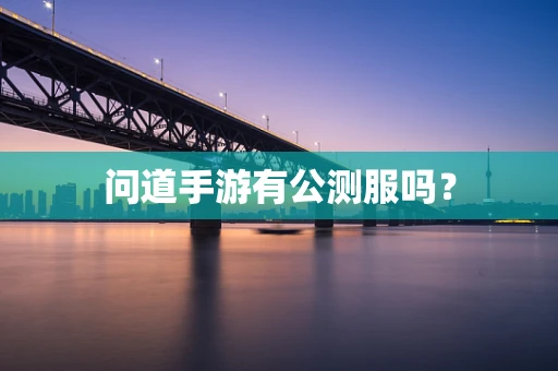 问道手游有公测服吗？