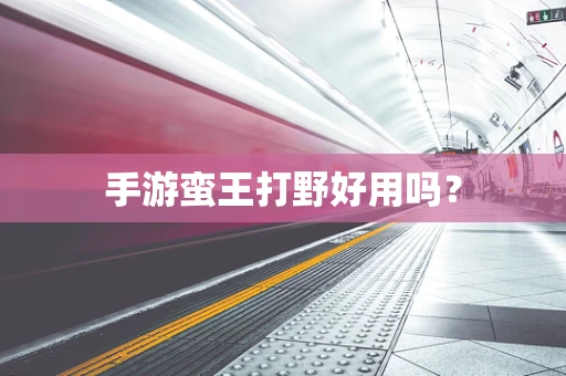 手游蛮王打野好用吗？