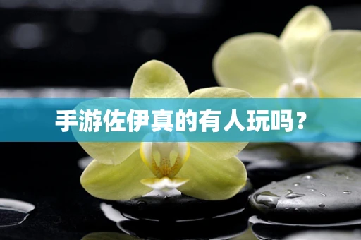 手游佐伊真的有人玩吗？
