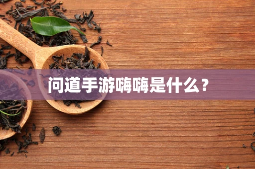 问道手游嗨嗨是什么？