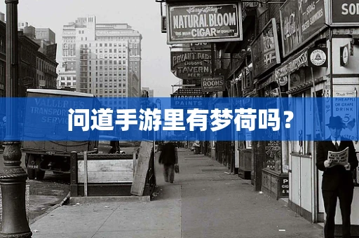 问道手游里有梦荷吗？