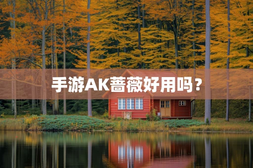 手游AK蔷薇好用吗？