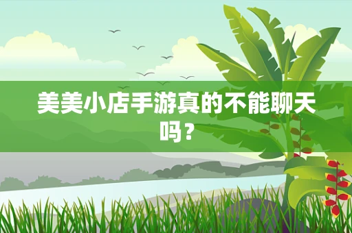 美美小店手游真的不能聊天吗？