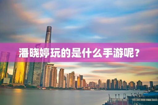 潘晓婷玩的是什么手游呢？