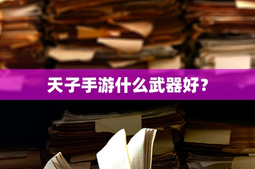 天子手游什么武器好？