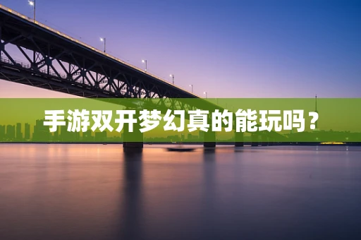 手游双开梦幻真的能玩吗？