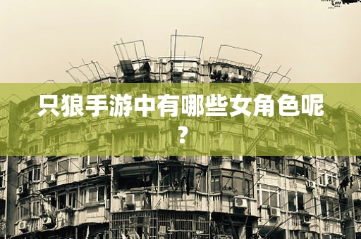 只狼手游中有哪些女角色呢？