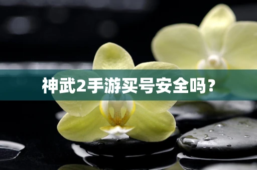 神武2手游买号安全吗？