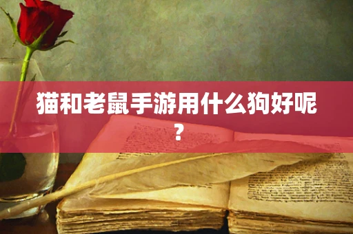 猫和老鼠手游用什么狗好呢？