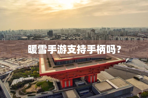 暖雪手游支持手柄吗？
