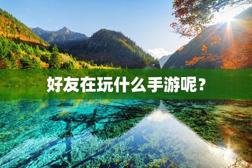 好友在玩什么手游呢？