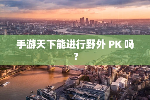 手游天下能进行野外 PK 吗？