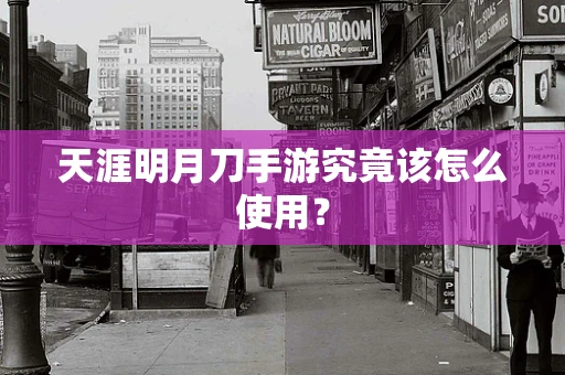 天涯明月刀手游究竟该怎么使用？