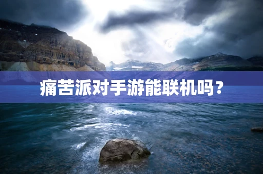 痛苦派对手游能联机吗？